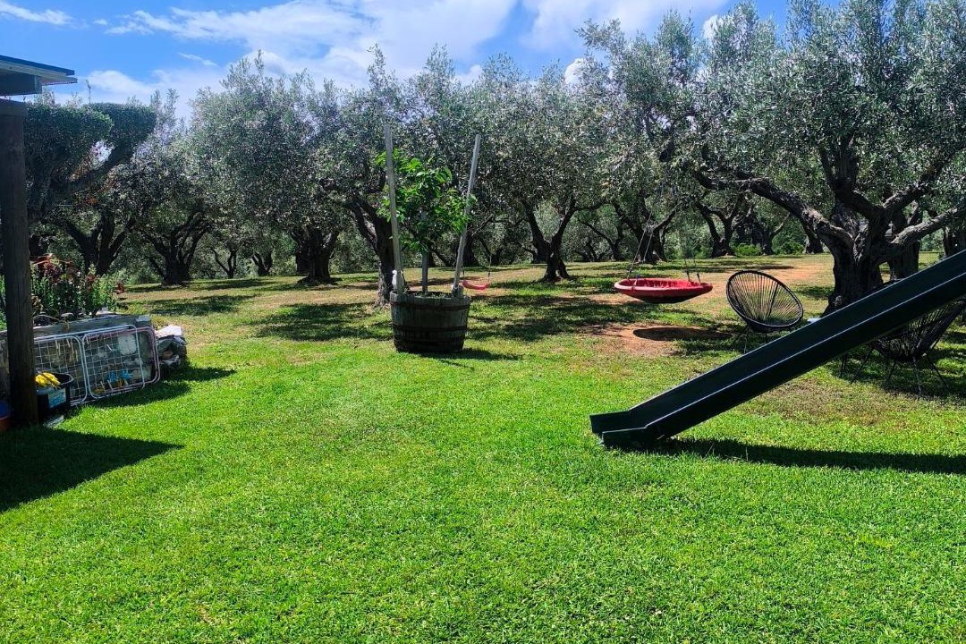 Photo of Others in Sithonia