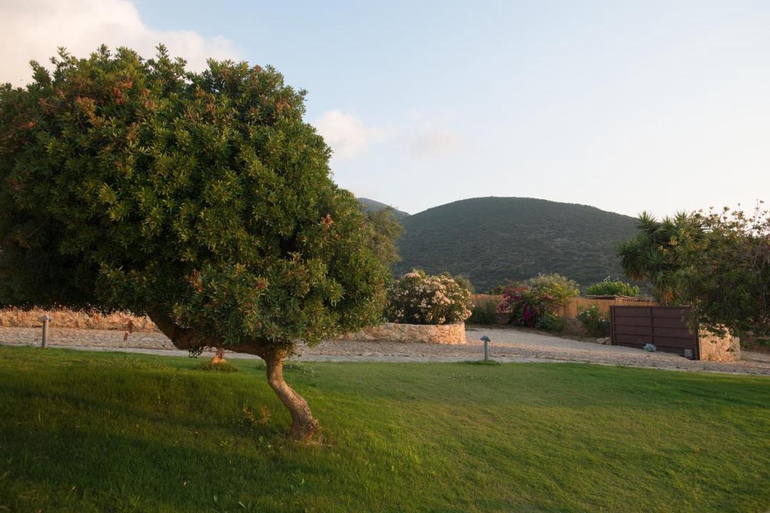 Photo of Others in Pylos