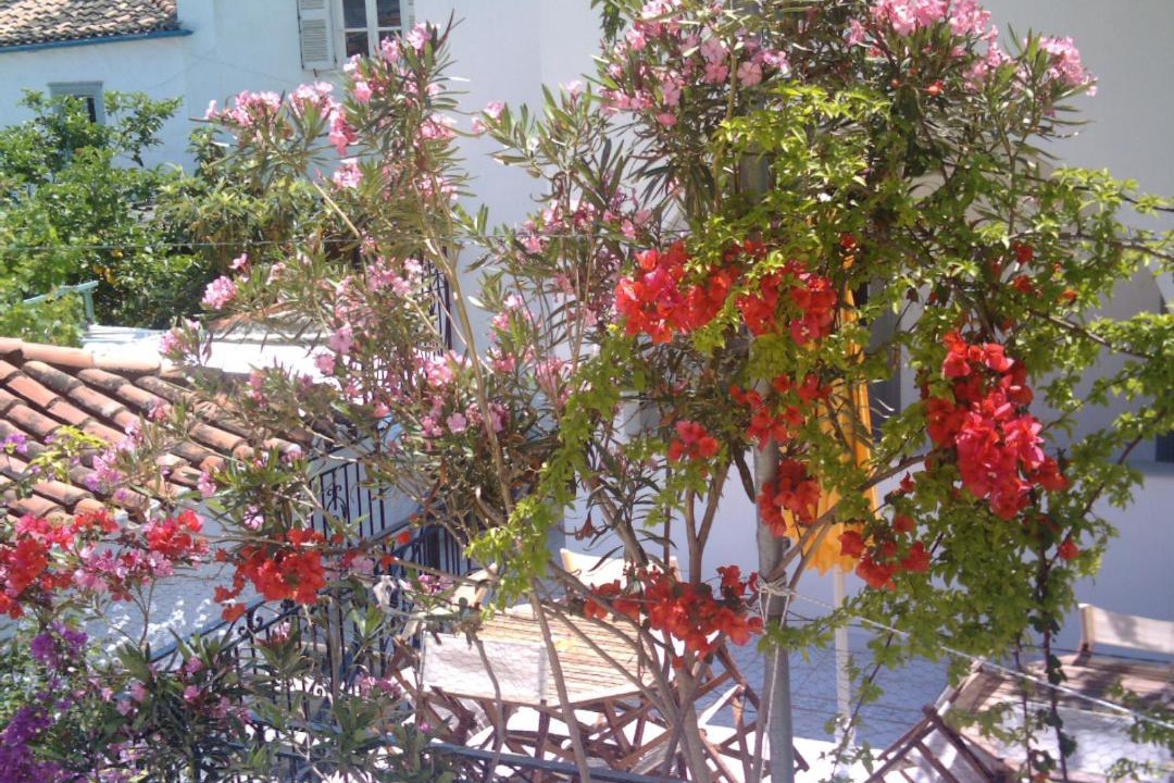 Photo of Others in idhra
