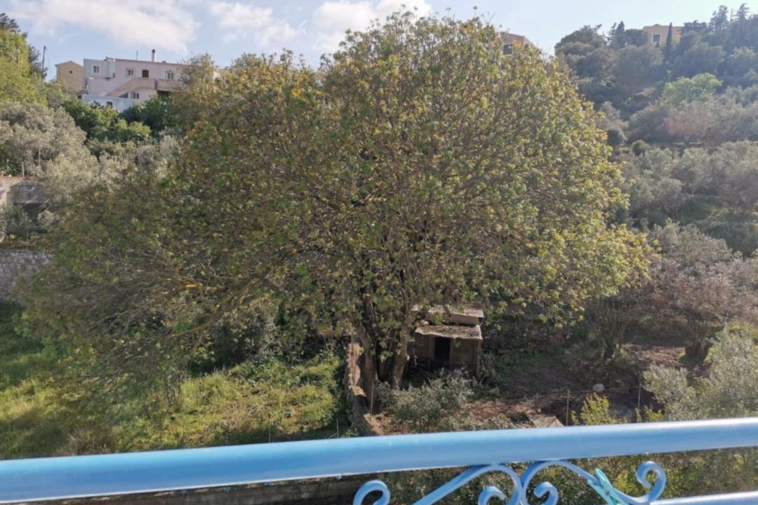 Photo of Others in Panormos