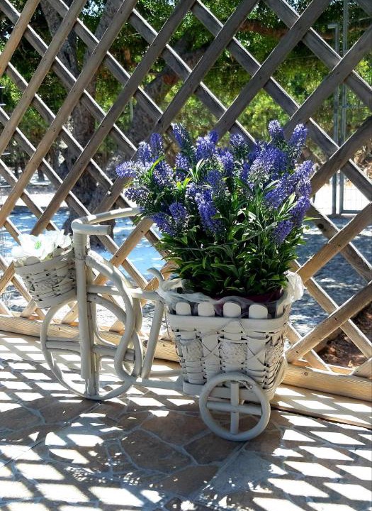 Photo of Patio Balcony in Mastichochoria