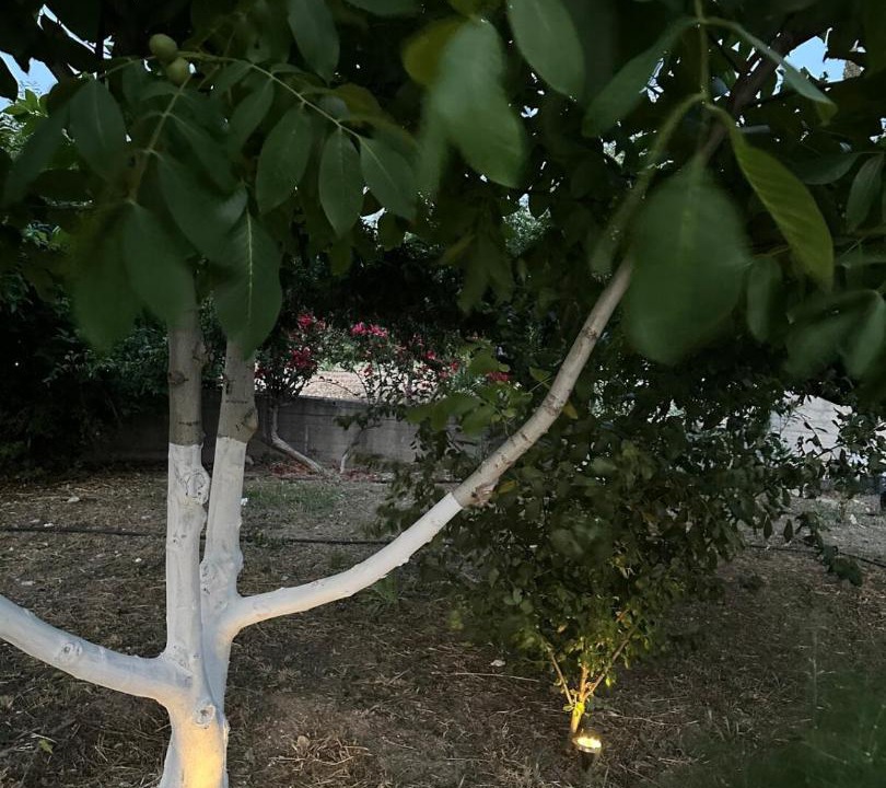 Photo of Outdoor in Samos
