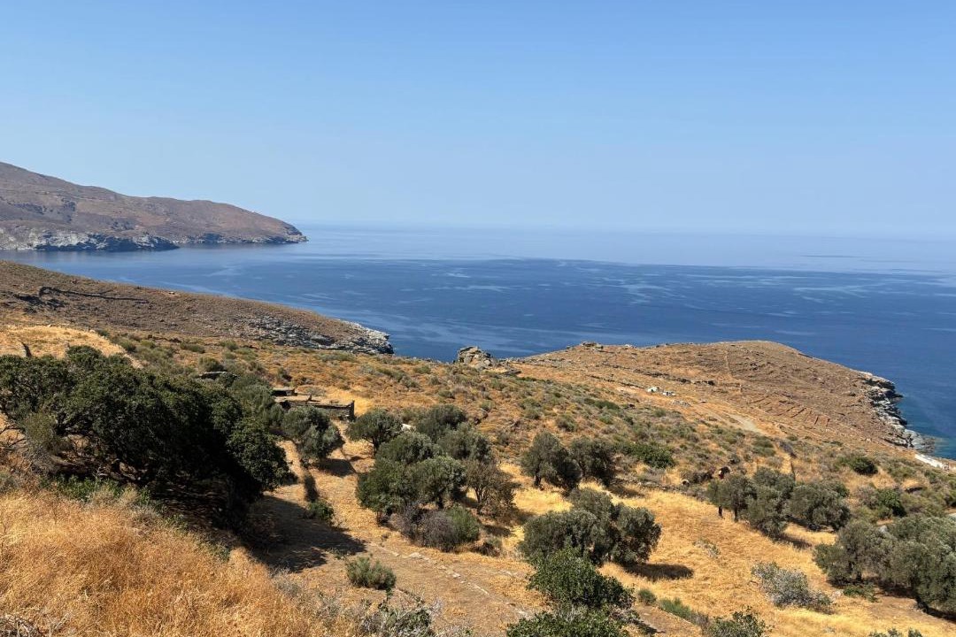 Photo of Others in Andros Town