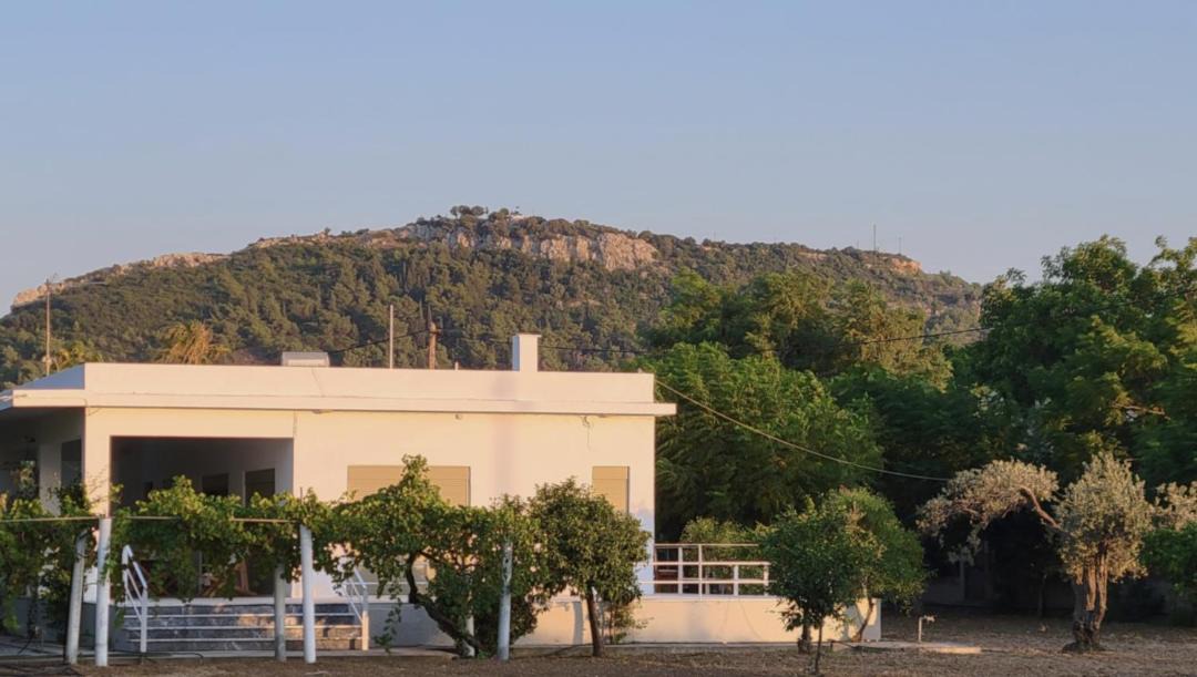 Photo of Others in Faliraki