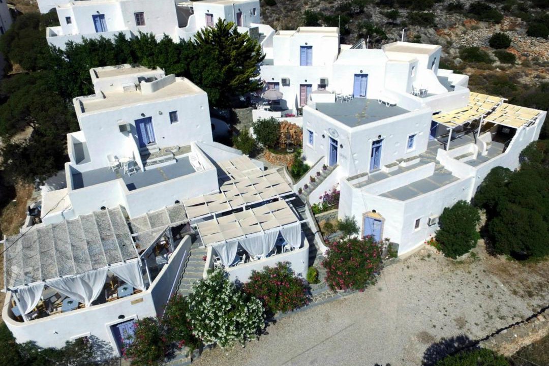 Photo of Others in Alopronia