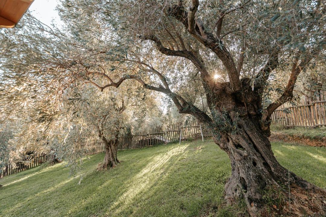 Photo of Others in South Pelion