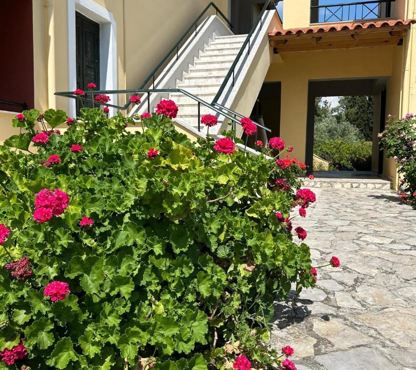 Photo of Others in Melissopetra