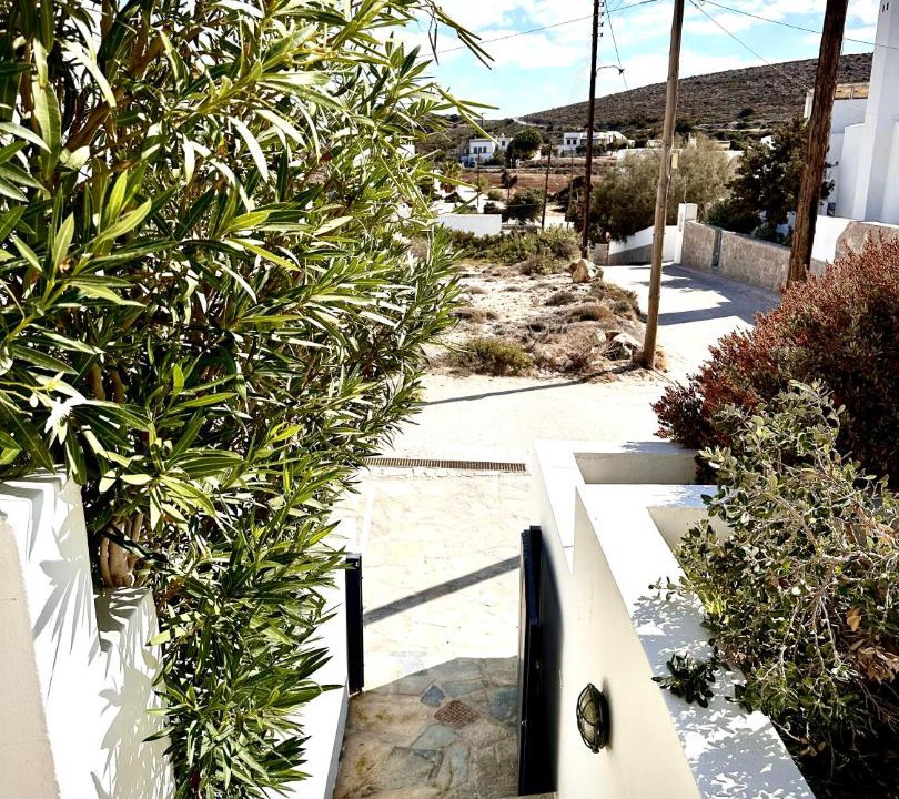 Photo of Others in Pachena