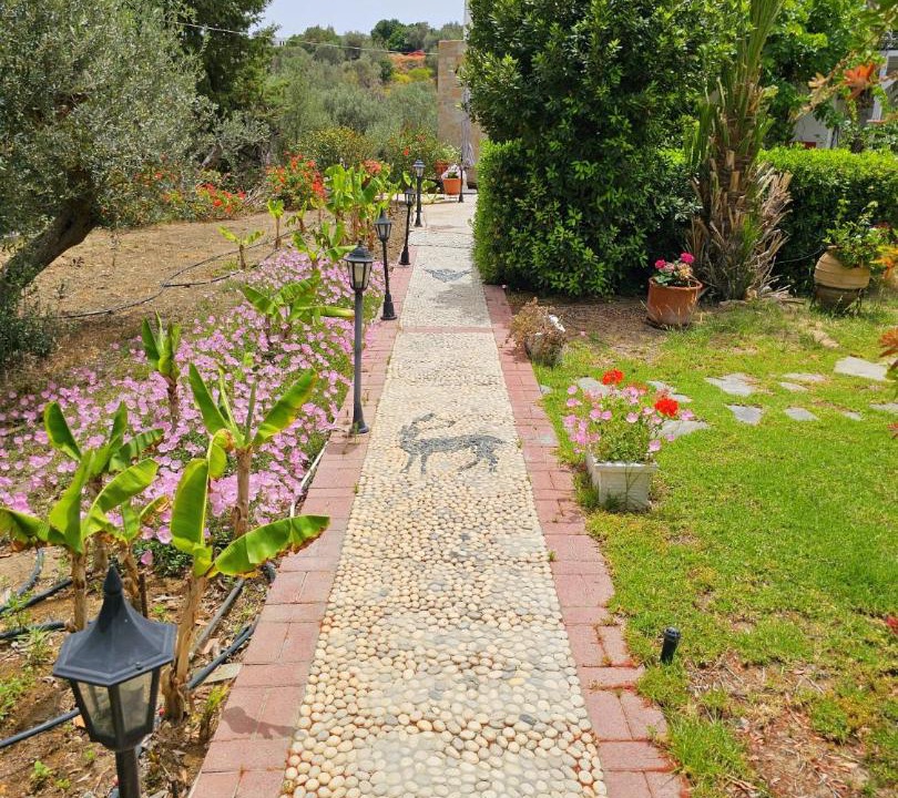 Photo of Others in Lindos