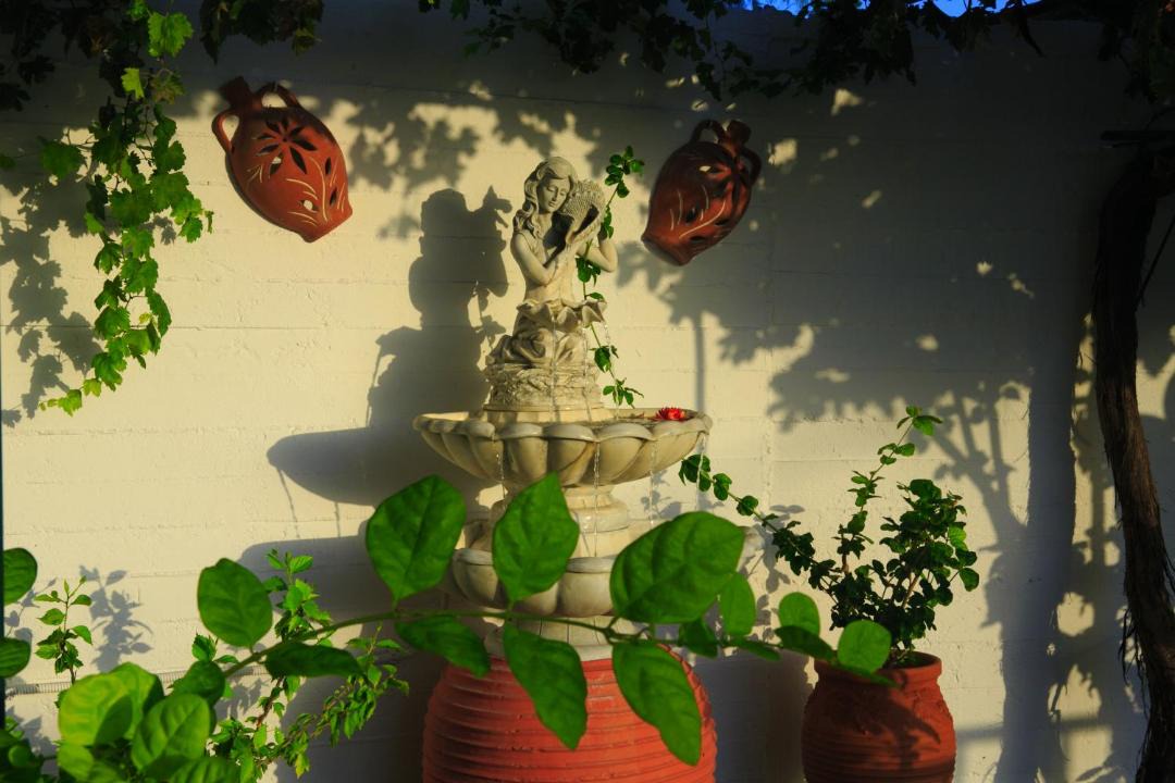 Photo of Others in Agia Ermioni