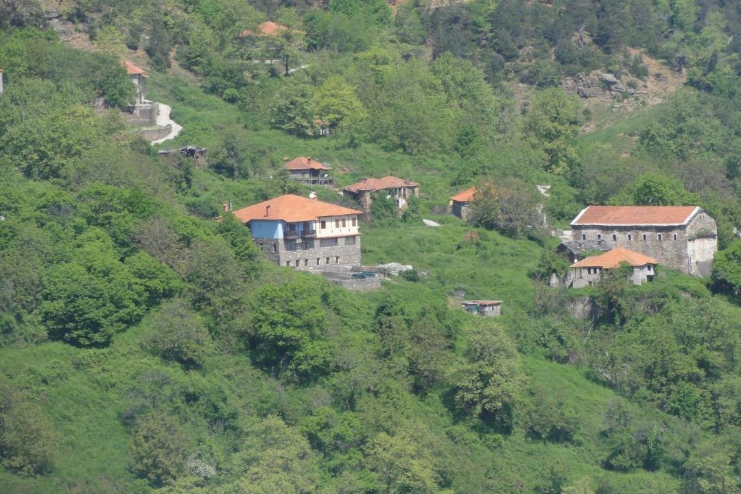 Photo of Others in Skotina