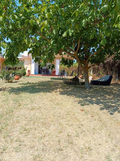 Photo of Others in Paliouri