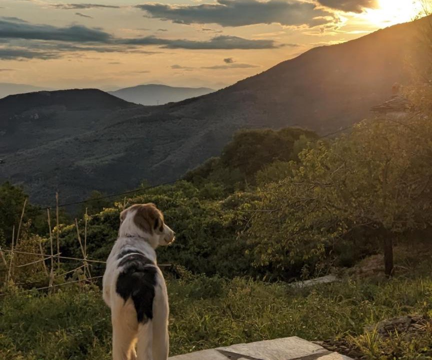 Photo of Others in Agios Lavrentios