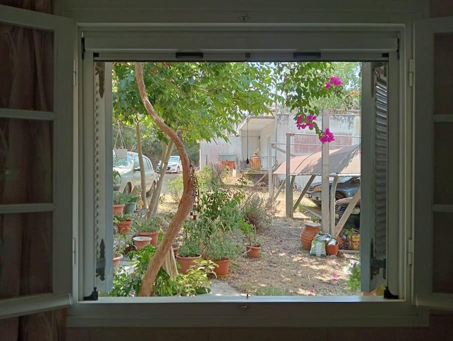 Photo of Others in Lygia