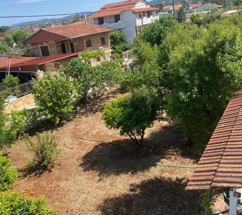 Photo of Others in Dilesi