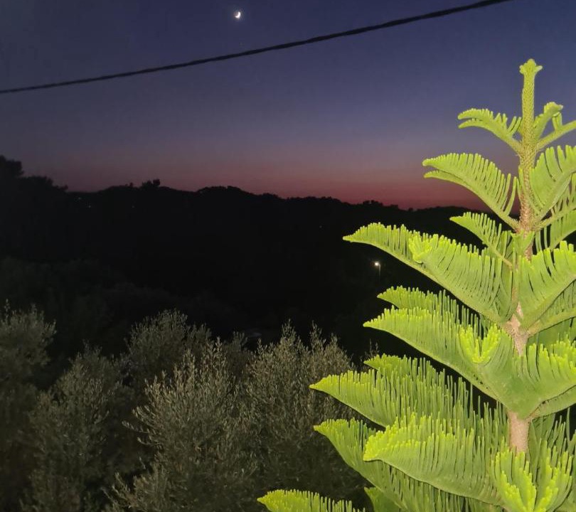 Photo of Outdoor in Armenistis