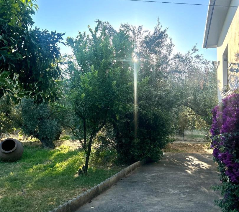 Photo of Others in Koropi