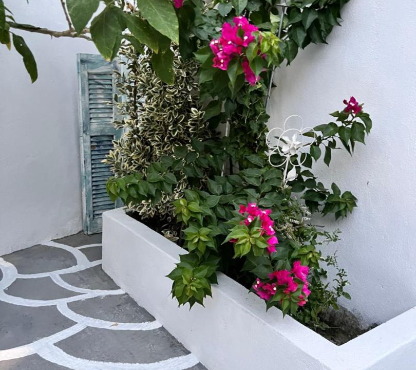 Photo of Others in Agia