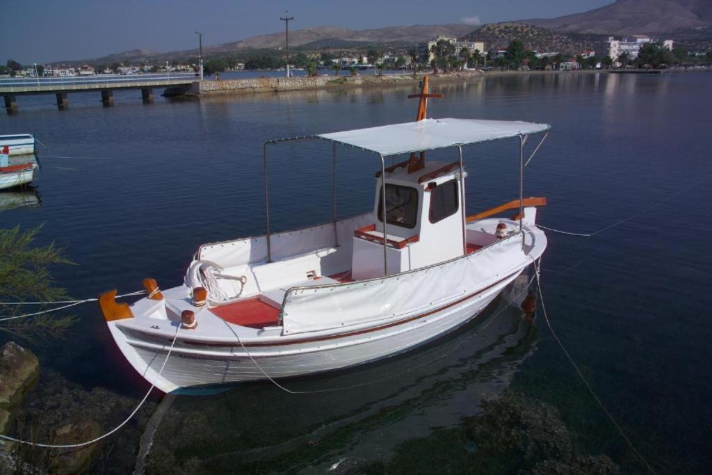 Photo of Others in Amarinthos