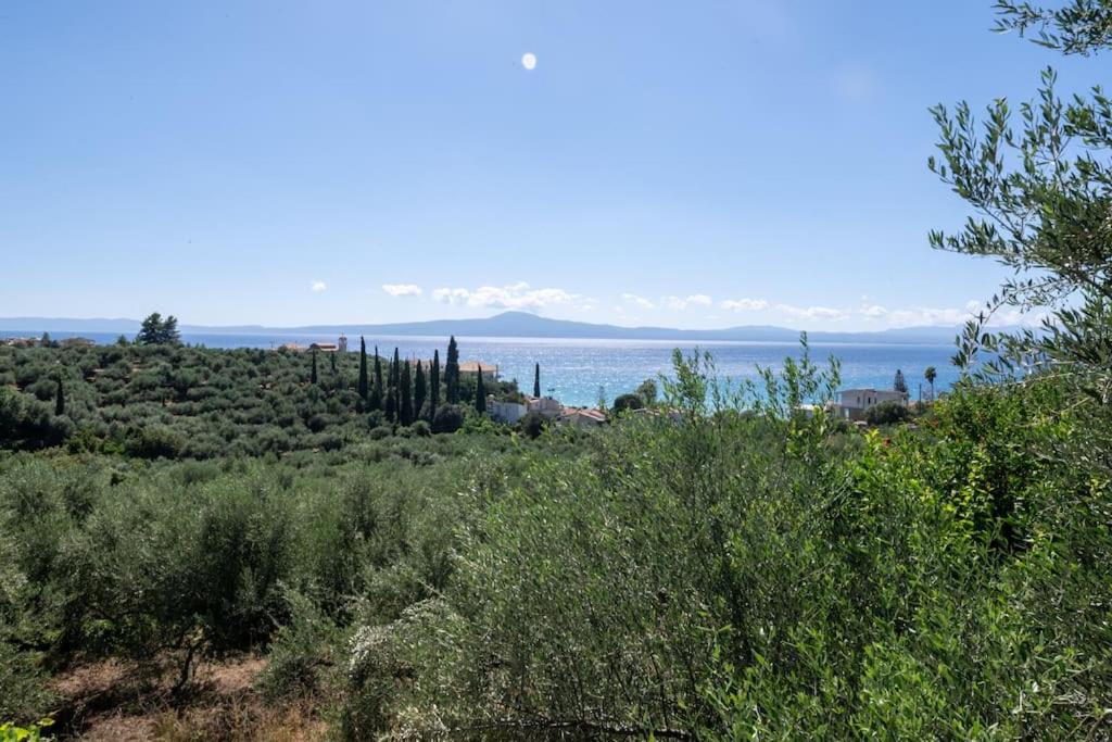 Photo of Others in Mikri Mantineia