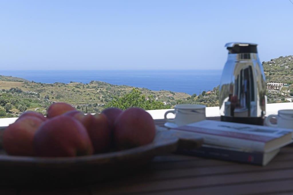 Photo of Others in Evdilos