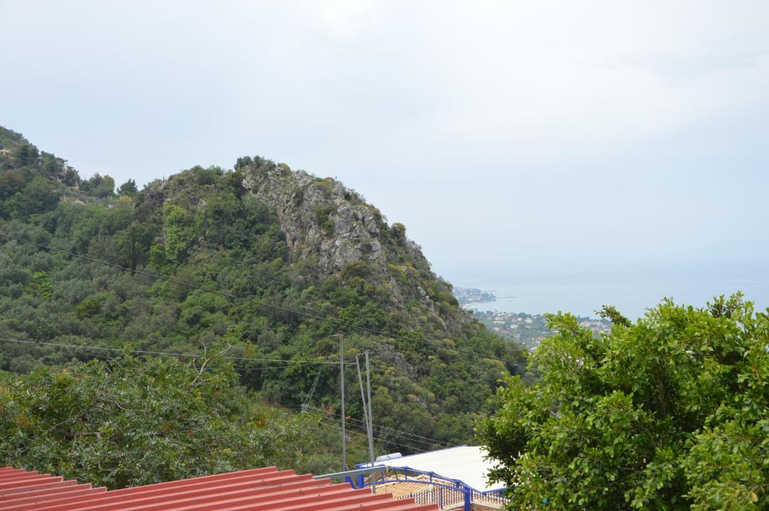 Photo of Others in Diasella