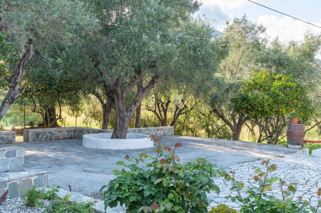 Photo of Others in Porto Koukla
