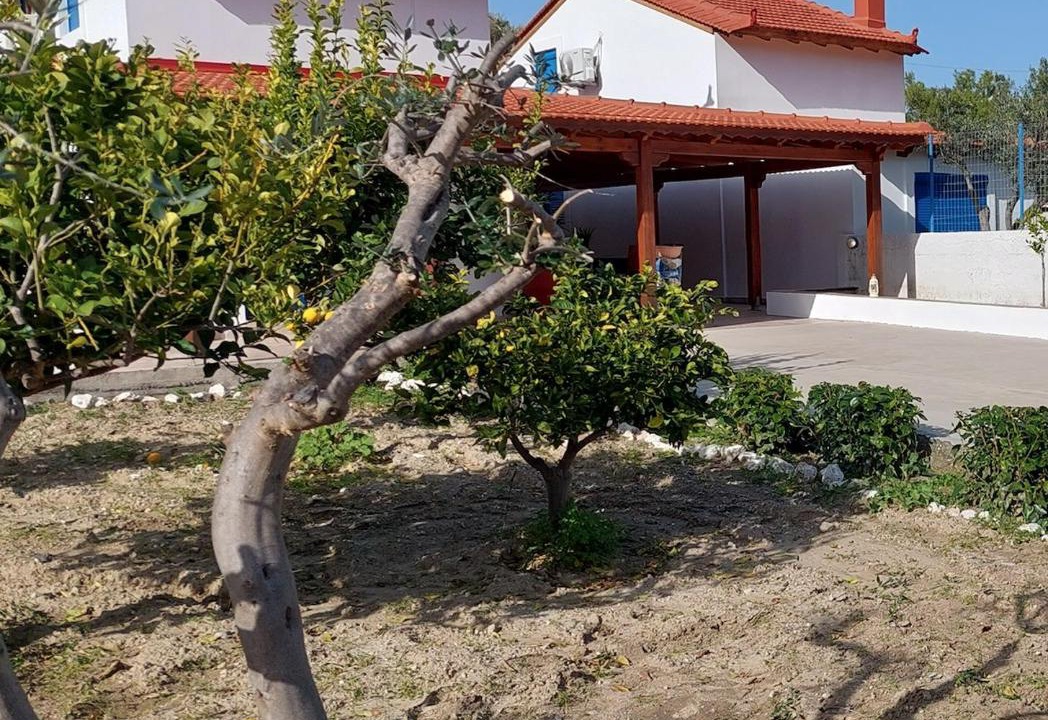 Photo of Others in Vlicha