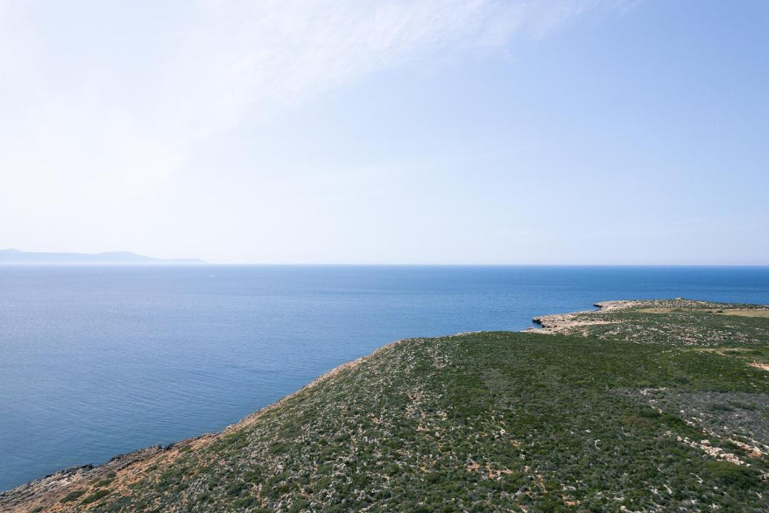 Photo of Others in Chania