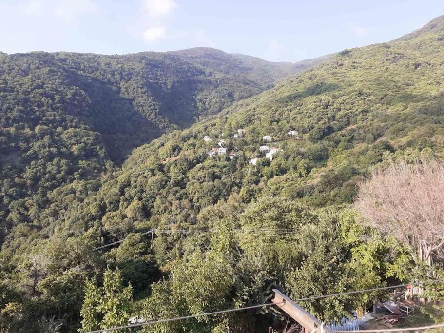 Photo of Outdoor in Zagora-Mouresi