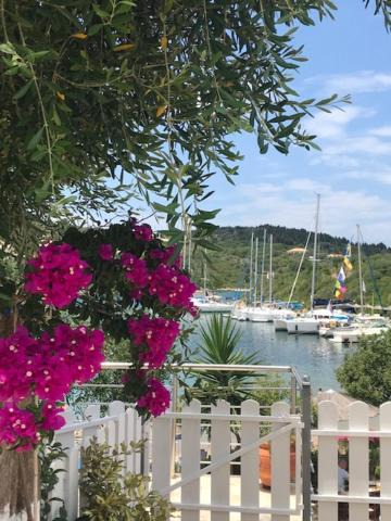 Photo of Others in Paxos