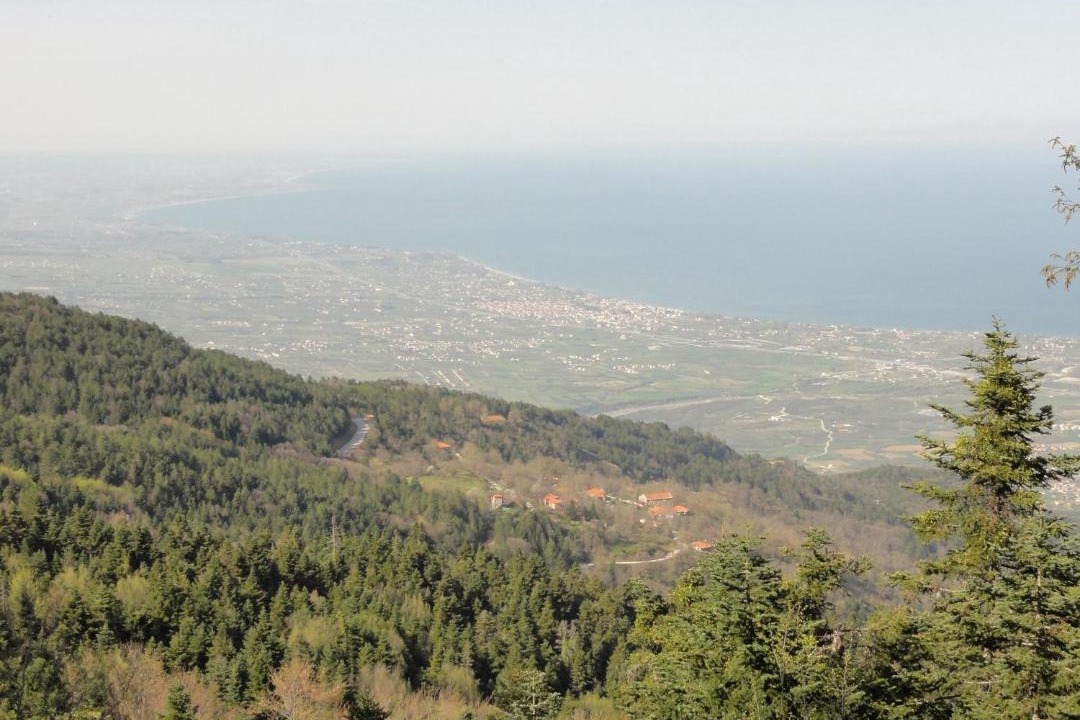 Photo of Others in Skotina