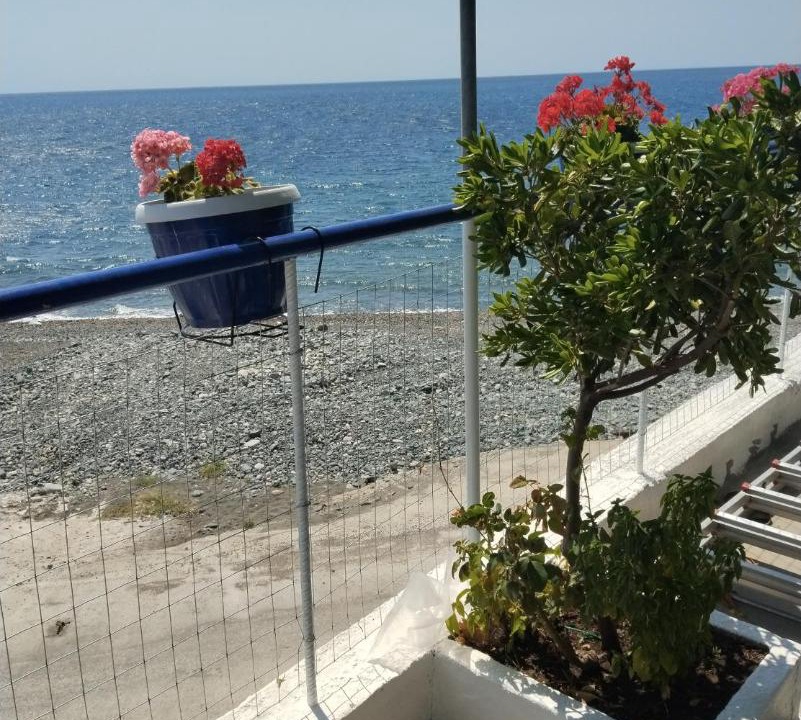 Photo of Others in Samothrace