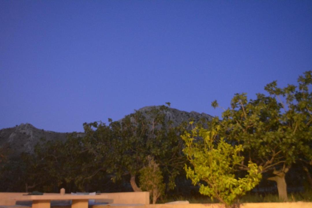Photo of Others in Kontos