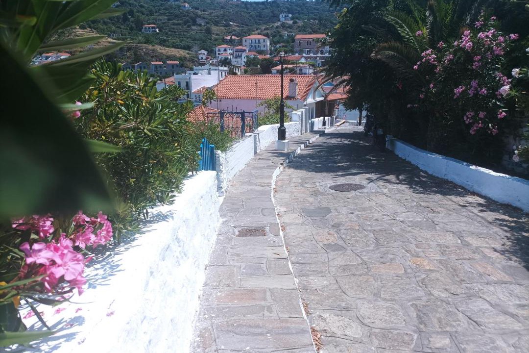 Photo of Others in Evdilos