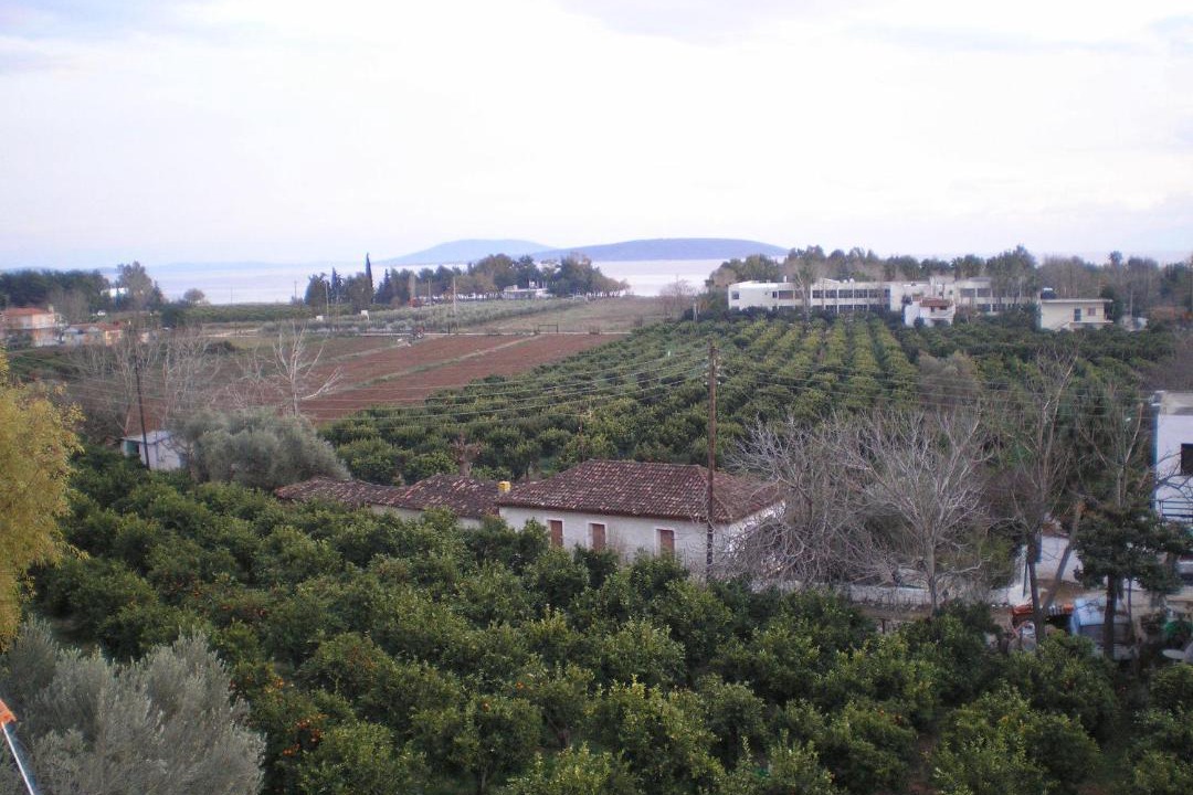 Photo of Others in Drepano