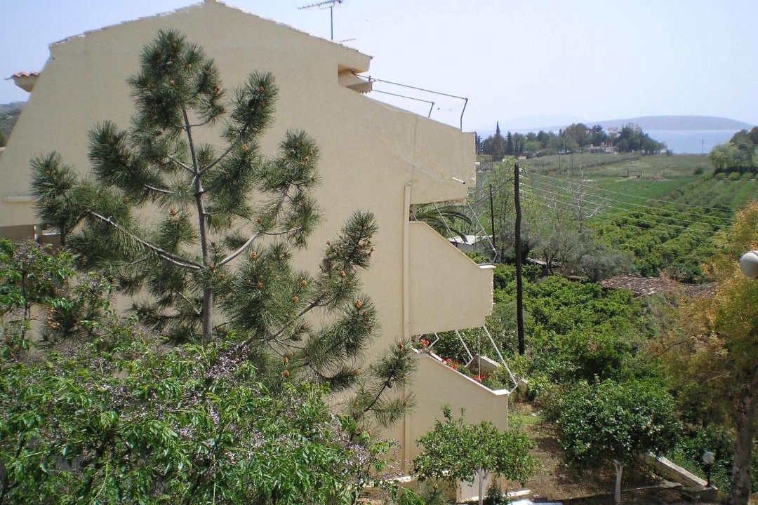 Photo of Others in Drepano