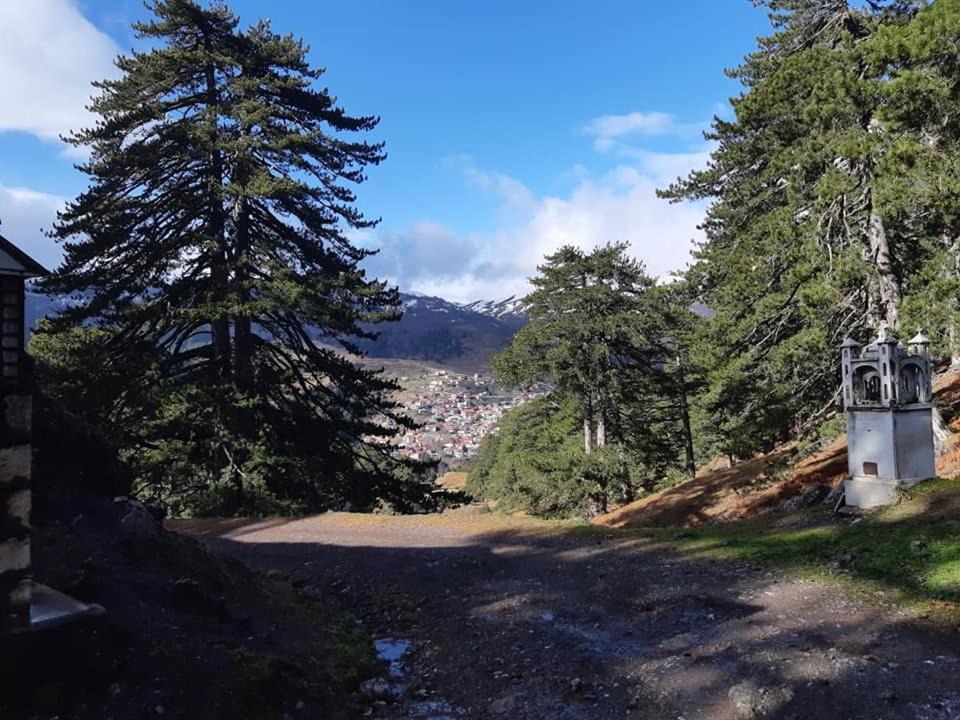 Photo of Others in Avdella