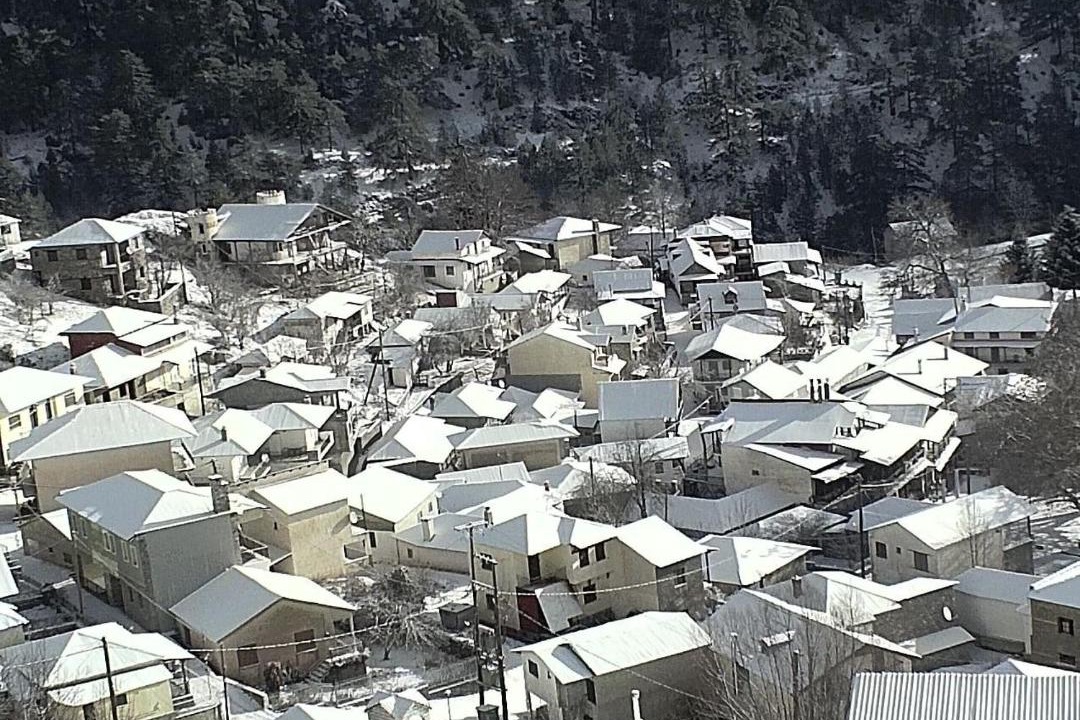 Photo of Others in Avdella