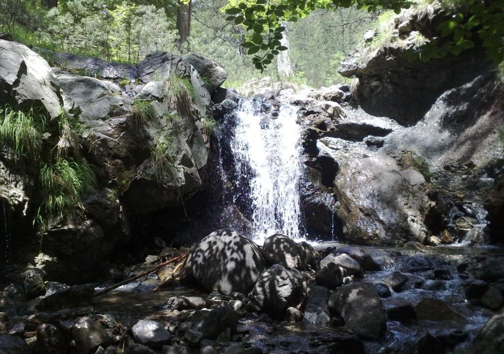 Photo of Others in Avdella