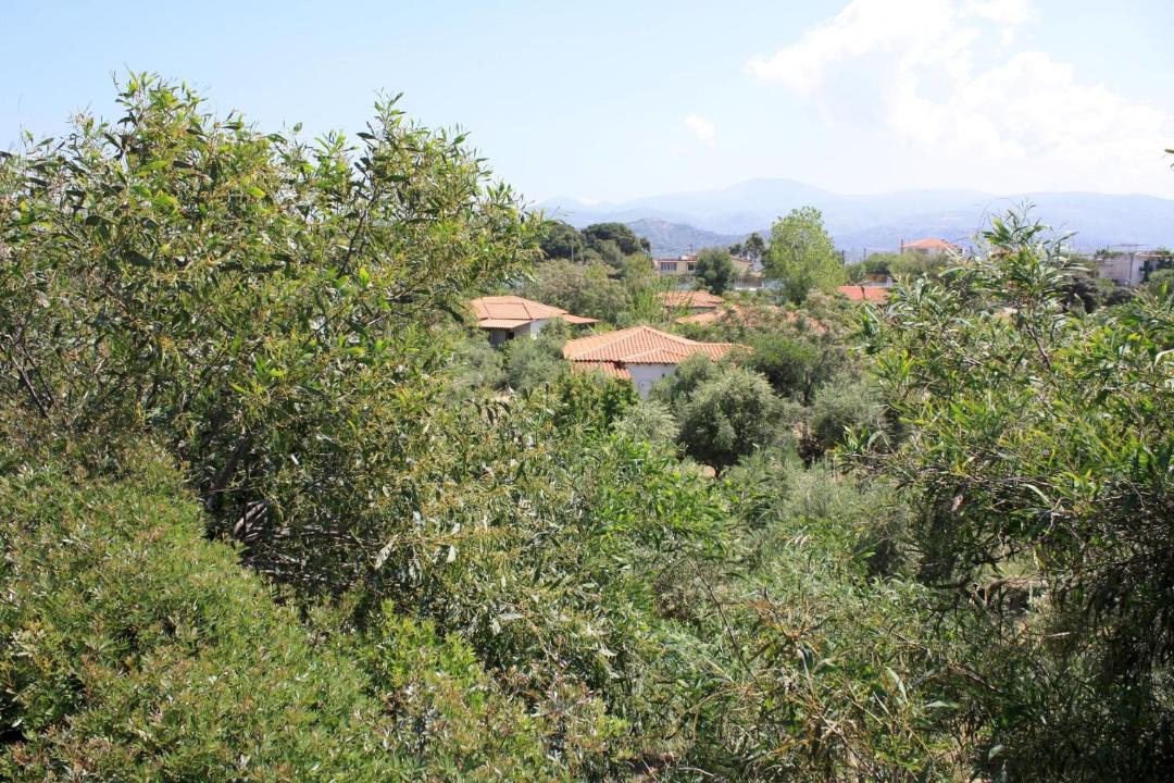 Photo of Outdoor in Kakovatos