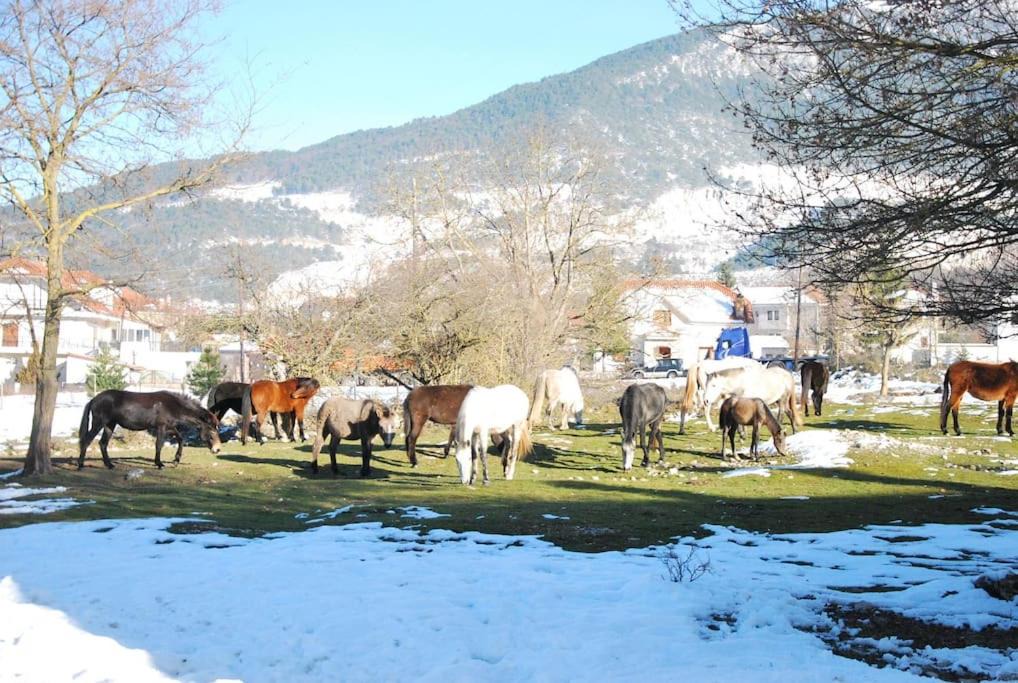 Photo of Outdoor in Volakas