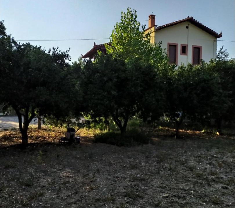 Photo of Others in Agios Minas