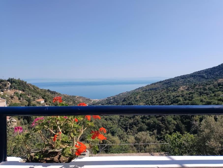 Photo of Others in Ikaria