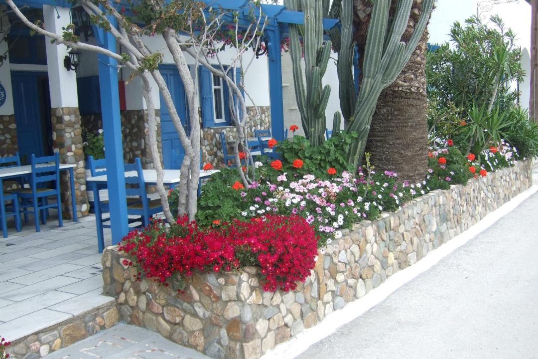 Photo of Buildings in Ios Town