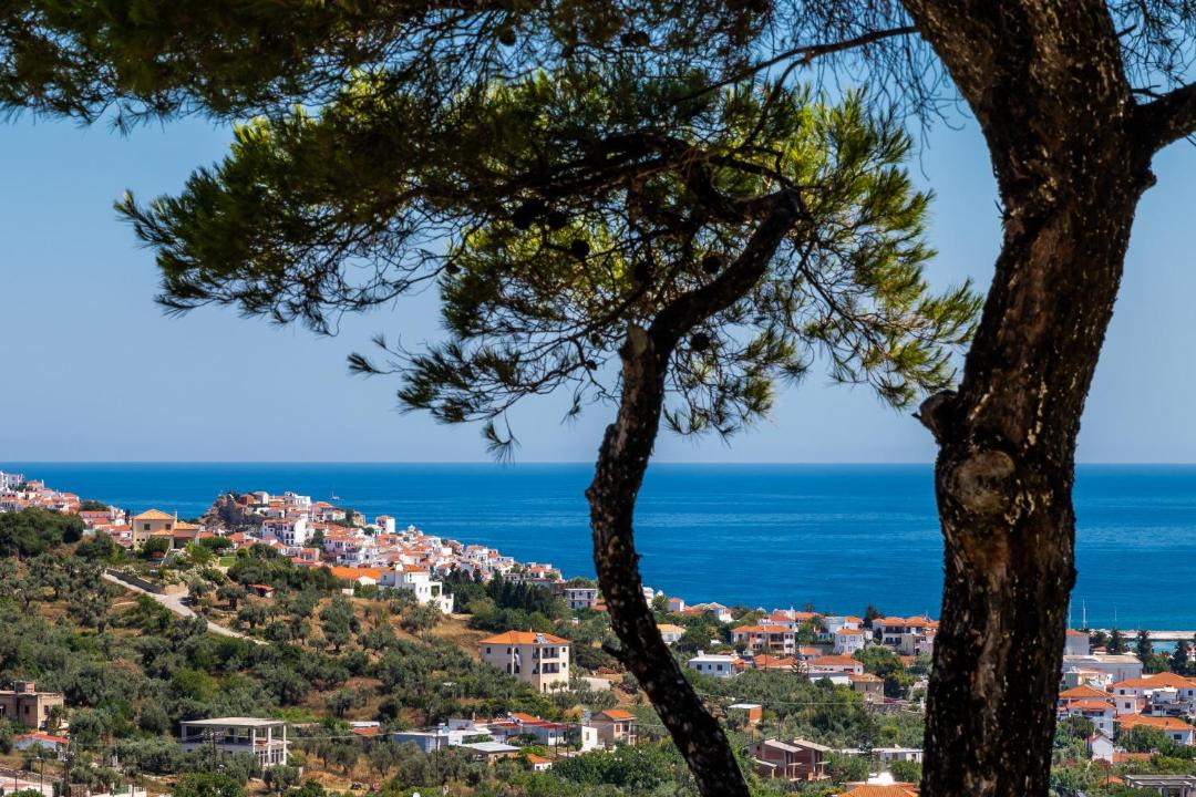 Photo of Outdoor in Skopelos
