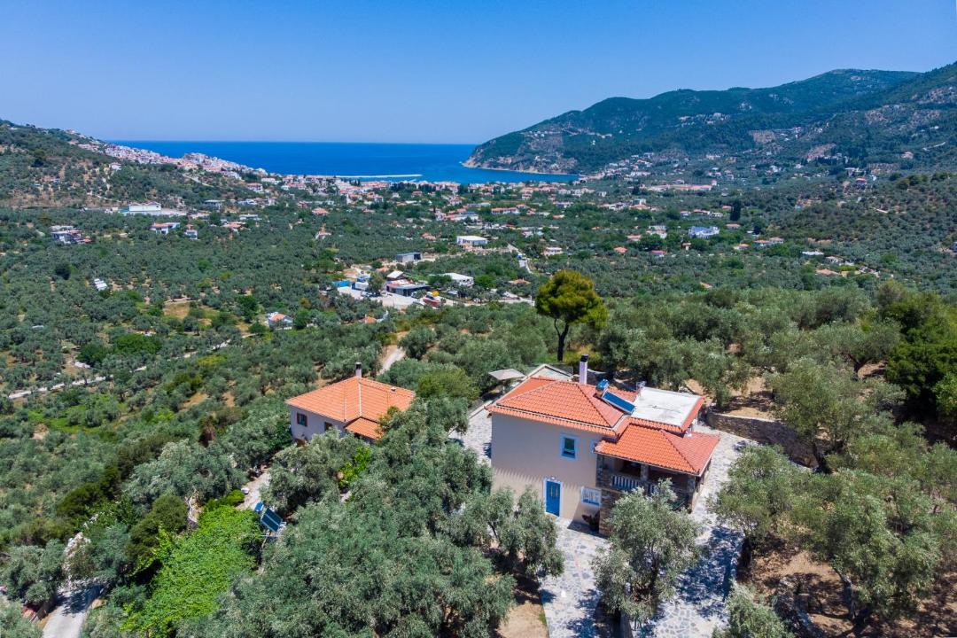 Photo of Others in Skopelos