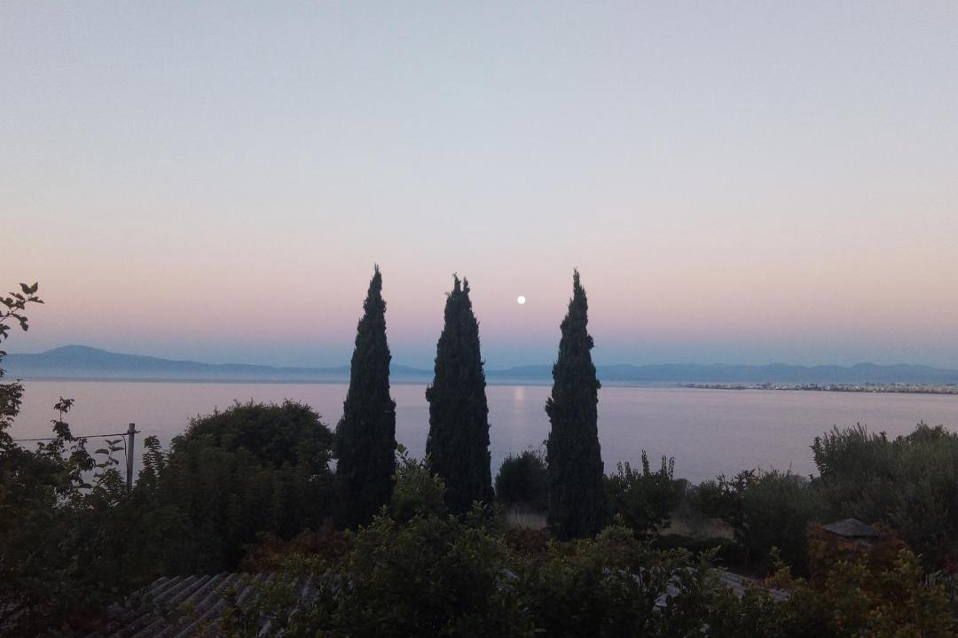 Photo of Others in Paralia Vergas