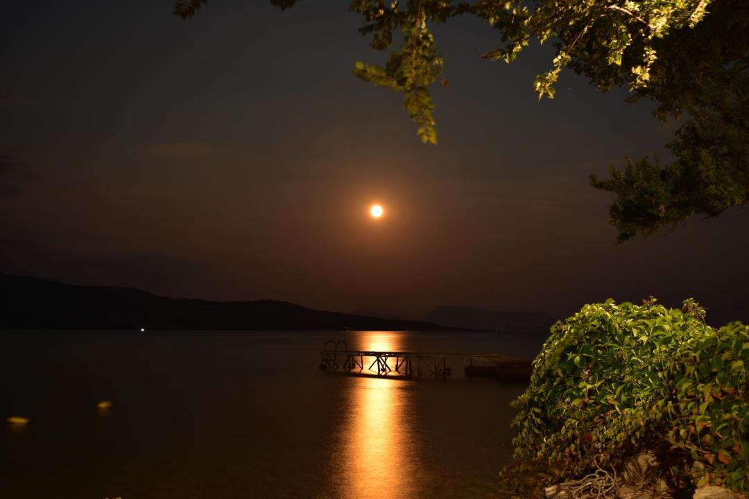 Photo of Others in Lygia