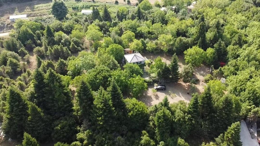 Photo of Outdoor in Central Tzoumerka